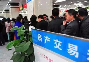 廊坊市民请注意 这些资金今后不得作为购房首付