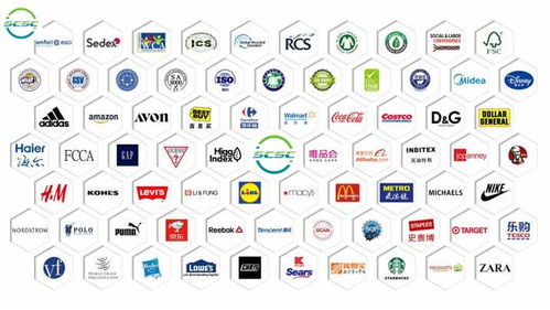 GSS验厂无忧，智慧行定制化咨询 高效拿证，赢取市场先机