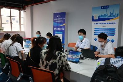 推动信用惠企便民，助力优化营商环境——政府开放日信用信息咨询服务活动纪实